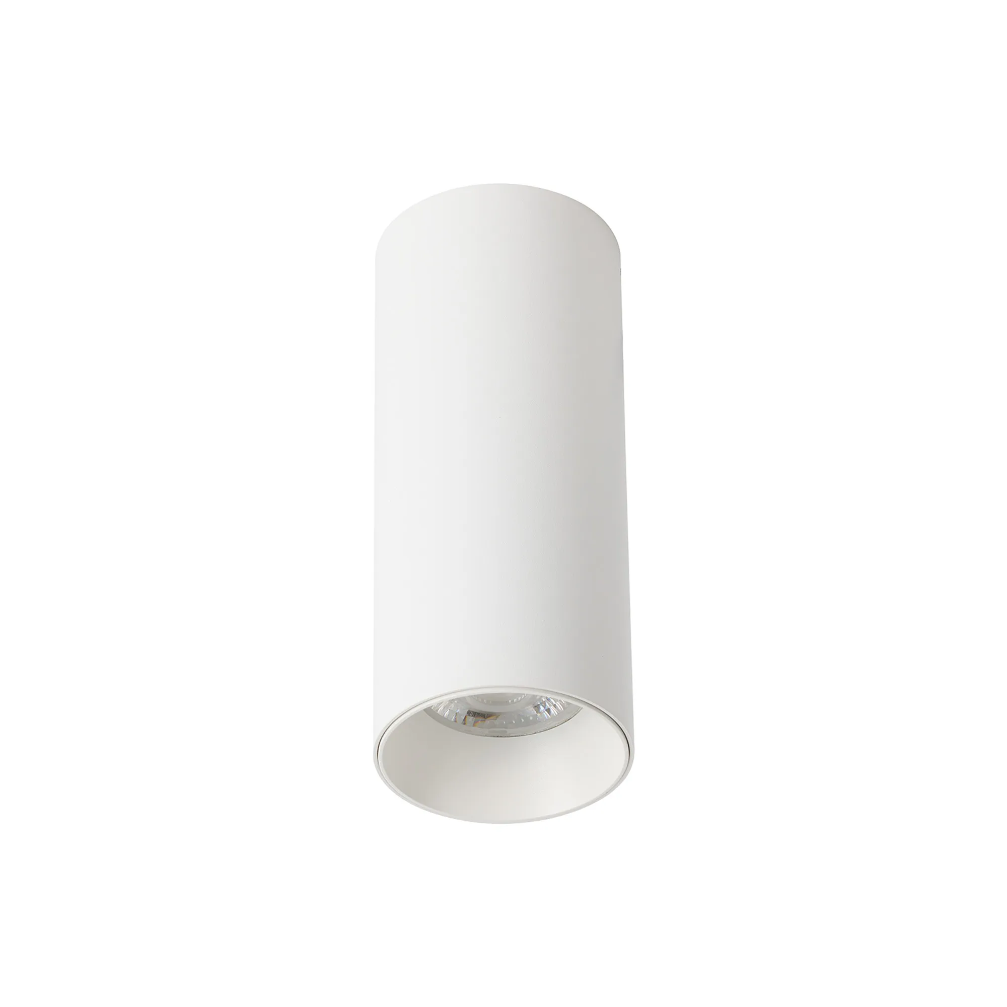 EOS S 10 Indoor Surface Mounted Luminaires Dlux Unidirectional Surface Mount